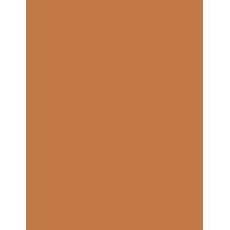 Estée Lauder Bronze Goddess   21G 03 Medium Deep   Per Donna (Bronzer)