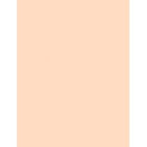 Rimmel London Stay Matte   14G 001 Transparent   Per Donna (Polvere)