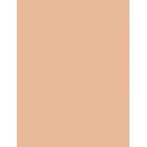 Missha M Perfect Cover BB Cream EX  SPF42   No.25 Warm Beige 20ml(BB Cream) Per Donna