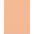 Artdeco Fluid Camouflage Foundation      Warm 24 Golden Beige 20ml(Makeup) Per Donna