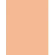 Artdeco Fluid Camouflage Foundation      Warm 24 Golden Beige 20ml(Makeup) Per Donna