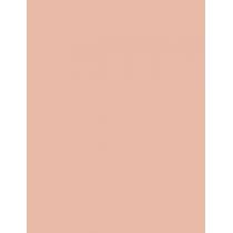 Max Factor Creme Puff   14G 05 Translucent   Per Donna (Polvere)