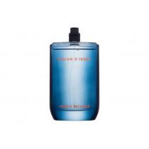 Issey Miyake Fusion D´Issey      100Ml Per Uomo Senza Confezione(Eau De Toilette) Extreme