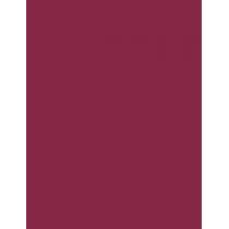 Max Factor Lipfinity Lip Colour  4,2G 055 Sweet   Per Donna (Rossetto)