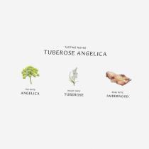 Jo Malone Tuberose Angelica 100Ml    (Eau De Cologne) Per Donna  