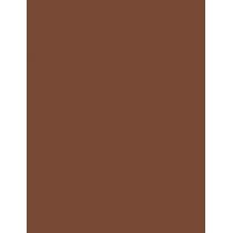 Shiseido Colorgel Lip Balm 2G    (Lipstick) Per Donna  110 Juniper