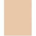 Shiseido Synchro Skin Self-Refreshing Custom Finish Powder Foundation     110 Alabaster 9g(Makeup) Per Donna