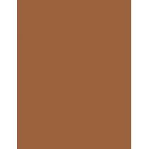 Estée Lauder Bronze Goddess   21G 04 Deep   Per Donna (Bronzer)