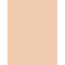 Pupa Professionals Bb Cream + Primer   50Ml 001 Nude  Spf20 Per Donna (Crema Bb)