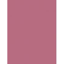 Max Factor Lipfinity Lip Colour  4,2G 020 Angelic   Per Donna (Rossetto)