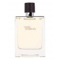 Hermes Terre D´Hermes   100Ml    Per Uomo (Eau De Toilette)