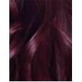 L'Oréal Paris Préférence Vivid Colors  60Ml 4,261 Dark Purple   Per Donna (Tinta Per Capelli)