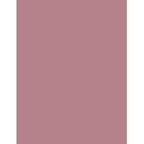 Sisley Phyto Lip Twist  2,5G 1 Nude   Per Donna (Balsamo Per Le Labbra)