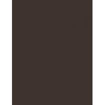 Shiseido Microliner Ink      0,08G Per Donna (Eye Pencil)