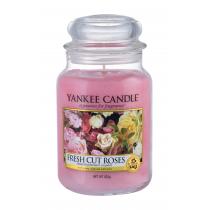 Yankee Candle Fresh Cut Roses   623G    Unisex (Candela Profumata)