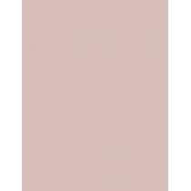 Essie Nail Polish   13,5Ml 06 Ballet Slippers   Per Donna (Smalto Per Unghie)