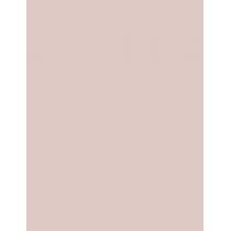 Shiseido Synchro Skin Invisible Silk Loose  6G Radiant   Per Donna (Polvere)