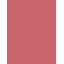 L'Oréal Paris Color Riche Lipcolour  3,6G 235 Nude   Per Donna (Rossetto)
