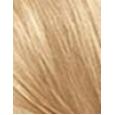 Revlon Colorsilk Beautiful Color  59,1Ml 81 Light Blonde   Per Donna (Tinta Per Capelli)