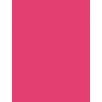 Sisley Phyto Lip Twist  2,5G 4 Pinky   Per Donna (Balsamo Per Le Labbra)