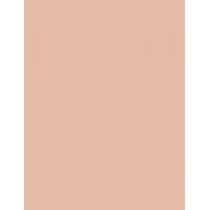 Clinique Beyond Perfecting Powder Foundation + Concealer  14,5G 0.5 Brezee   Per Donna (Makeup)