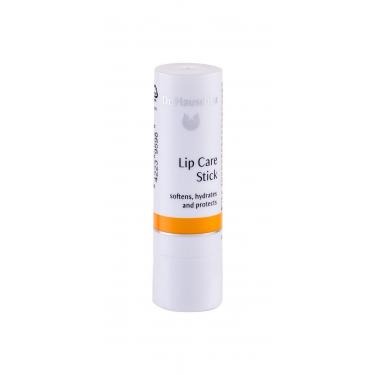 Dr. Hauschka Lip Care   4,9G   Stick Spf3 Per Donna (Balsamo Per Le Labbra)