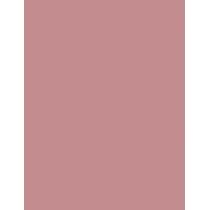 Rimmel London Lasting Provocalips   3,9Ml 220 Come Up Roses  16Hr Per Donna (Rossetto)