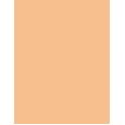 Estée Lauder Double Wear Maximum Cover  30Ml 2W1 Dawn  Spf15 Per Donna (Makeup)