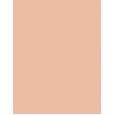 Revlon Colorstay   8,4G 840 Medium   Per Donna (Polvere)