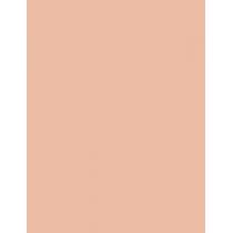 Revlon Colorstay   8,4G 840 Medium   Per Donna (Polvere)