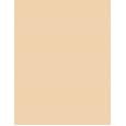 Artdeco Camouflage Cream  4,5G 15 Summer Apricot   Per Donna (Correttore)