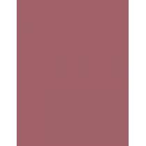 Maybelline Superstay Vinyl Ink Liquid 4,2Ml  Per Donna  (Lipstick)  110 Awestruck