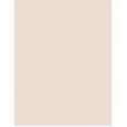 Inebrya Bionic Color Super Lighteners     11/1 Superlight Blonde Platinum Ash 100ml(Hair Color) Unisex