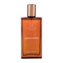 Collistar Acqua Wood   100Ml    Per Uomo (Eau De Toilette)