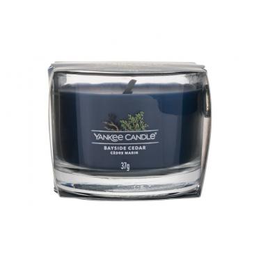 Yankee Candle Bayside Cedar   37G    Unisex (Candela Profumata)