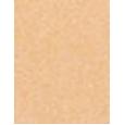 Artdeco Camouflage Cream  4,5G 18 Natural Apricot   Per Donna (Correttore)
