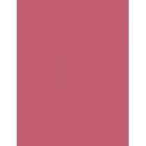 Loreal Paris Infaillible Matte Resistance Lipstick 5Ml  Per Donna  (Lipstick)  240 Road Tripping