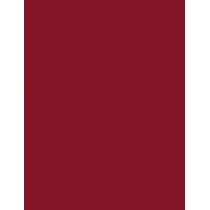 Bourjois Paris Contour Edition   1,14G 09 Plum It Up!   Per Donna (Matita Labbra)