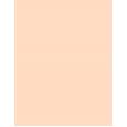 Rimmel London Stay Matte  14G 001 Transparent(Polvere)