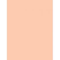 Max Factor Pan Stik   9G 25 Fair   Per Donna (Makeup)