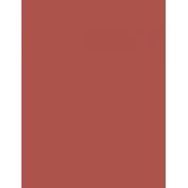 Nyx Professional Makeup Shine Loud 3,4Ml    (Lipstick) Per Donna  03 Ambition Statement