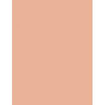 Shiseido Future Solution Lx Total Radiance Foundation  30Ml R3 Rose  Spf15 Per Donna (Makeup)