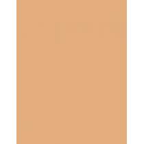 Barry M Fresh Face Perfecting Concealer 6Ml  Per Donna  (Corrector)  6