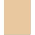 Inebrya Bionic Color      9/3 Very Light Blonde Golden 100ml(Hair Color) Unisex