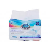 Canpol Babies Air Comfort Superabsorbent Postpartum Hygiene Pads 10Pc  Per Donna  (Postpartum Pads)  