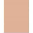 Shiseido Sun Protection Tanning Compact Foundation  SPF10   Natural 12g(Makeup) Per Donna