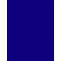 Essie Nail Lacquer 13,5Ml Snow White   (Nail Polish) Per Donna  1007 Brave And True