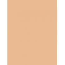 Artdeco Perfect Teint   1,8Ml 19 Light Beige   Per Donna (Correttore)