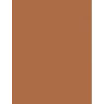 Rimmel London Kind & Free 30Ml Blur It Out Mattifying Skin Tint   (Makeup) Per Donna  510 Cinnamon