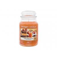 Yankee Candle Farm Fresh Peach   623G    Unisex (Candela Profumata)